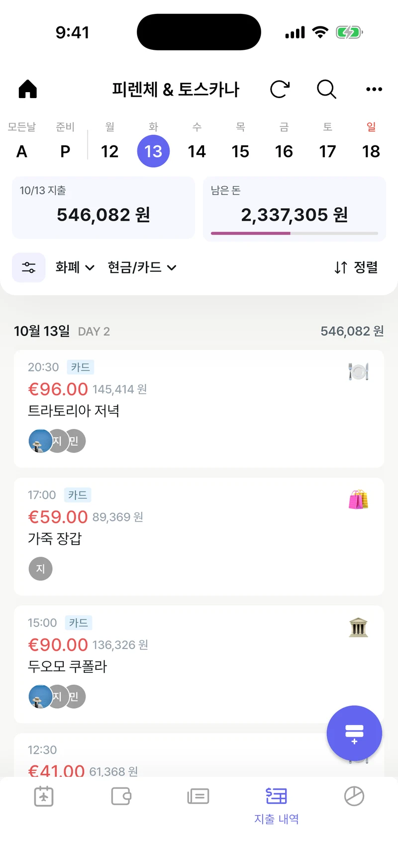 지출 내역